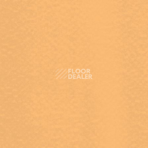 Линолеум Gerflor Mural Ultra 4116 Apricot фото 1 | FLOORDEALER